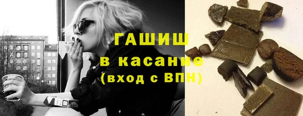 шишки Надым