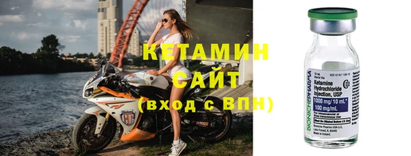 шишки Надым