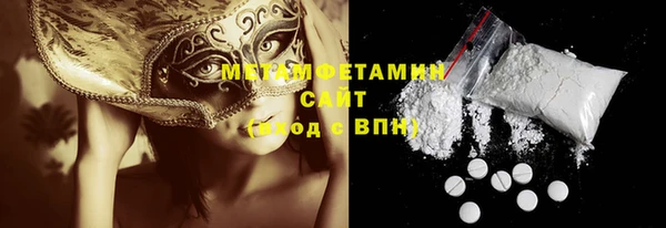 шишки Надым