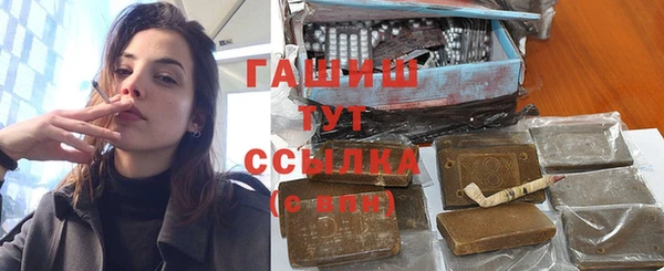 шишки Надым