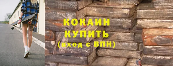 шишки Надым