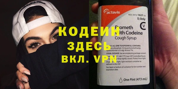 шишки Надым