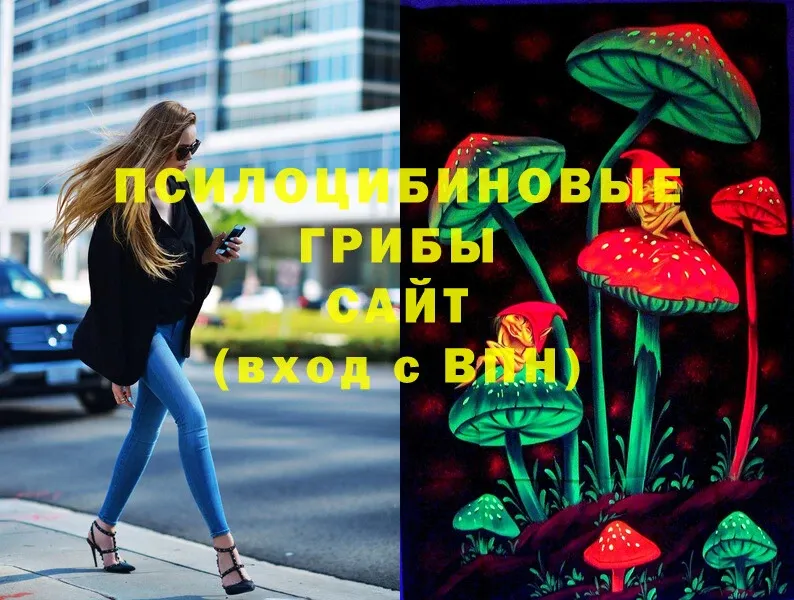 Галлюциногенные грибы MAGIC MUSHROOMS  Камызяк 